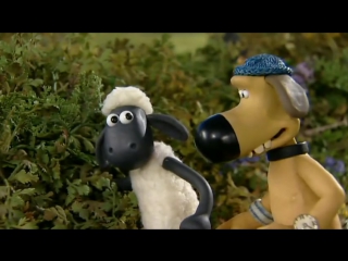 shaun the sheep s01e37